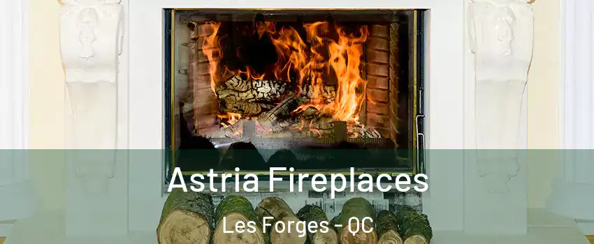  Astria Fireplaces Les Forges - QC