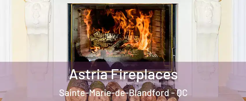  Astria Fireplaces Sainte-Marie-de-Blandford - QC