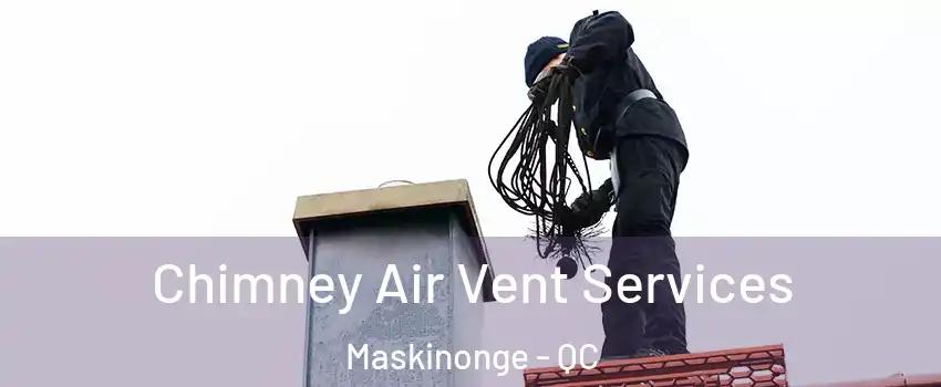  Chimney Air Vent Services Maskinonge - QC