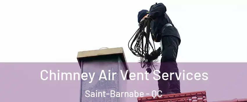  Chimney Air Vent Services Saint-Barnabe - QC
