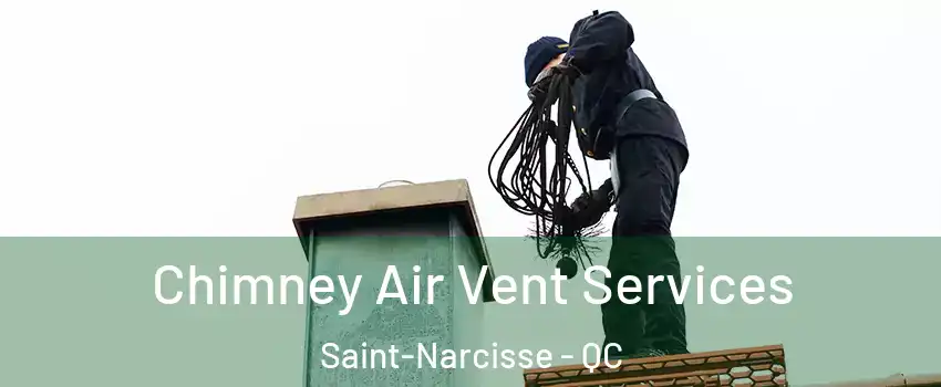  Chimney Air Vent Services Saint-Narcisse - QC