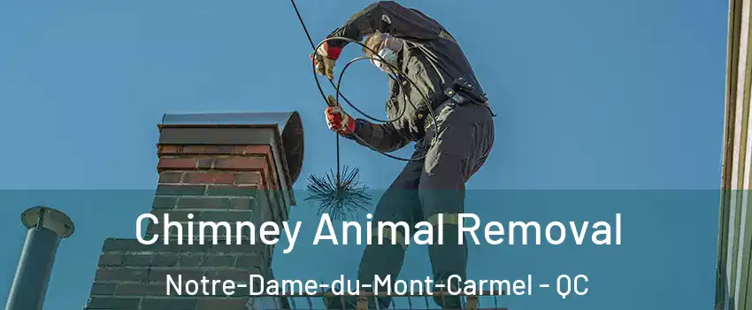 Chimney Animal Removal Notre-Dame-du-Mont-Carmel - QC