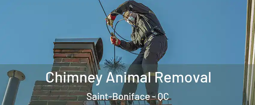 Chimney Animal Removal Saint-Boniface - QC