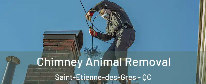 Chimney Animal Removal Saint-Etienne-des-Gres - QC