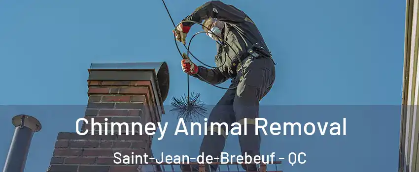 Chimney Animal Removal Saint-Jean-de-Brebeuf - QC