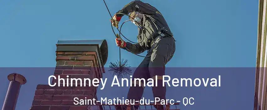 Chimney Animal Removal Saint-Mathieu-du-Parc - QC