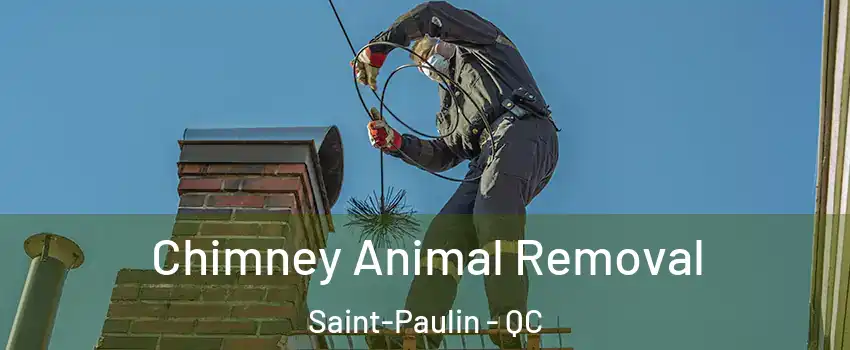 Chimney Animal Removal Saint-Paulin - QC