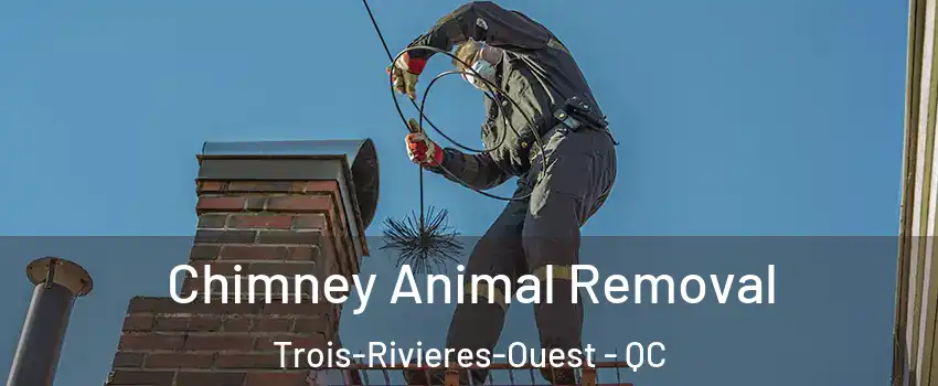 Chimney Animal Removal Trois-Rivieres-Ouest - QC