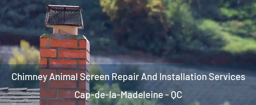  Chimney Animal Screen Repair And Installation Services Cap-de-la-Madeleine - QC
