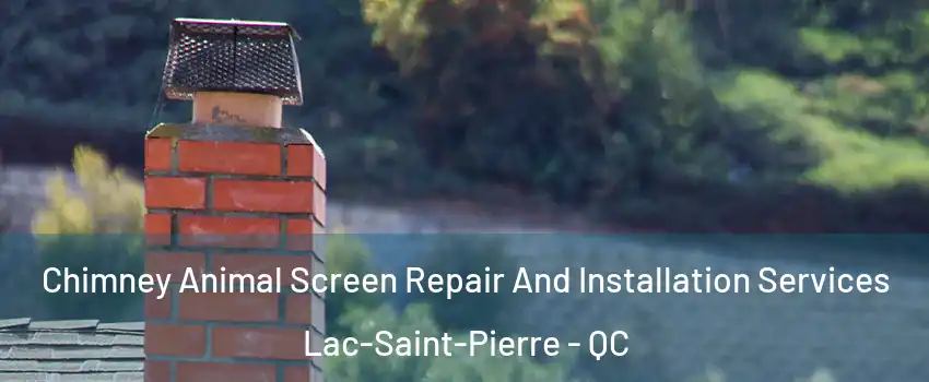  Chimney Animal Screen Repair And Installation Services Lac-Saint-Pierre - QC