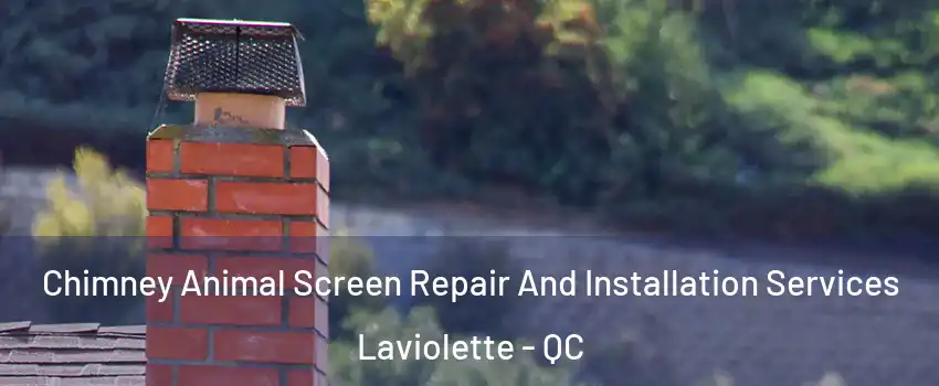  Chimney Animal Screen Repair And Installation Services Laviolette - QC