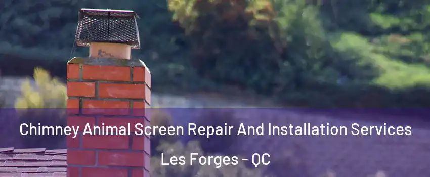  Chimney Animal Screen Repair And Installation Services Les Forges - QC