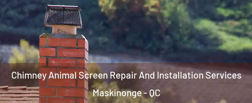  Chimney Animal Screen Repair And Installation Services Maskinonge - QC
