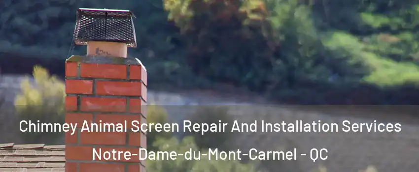  Chimney Animal Screen Repair And Installation Services Notre-Dame-du-Mont-Carmel - QC