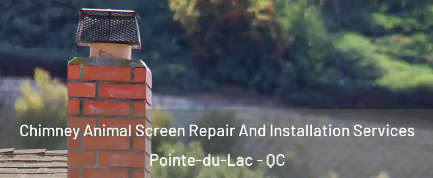  Chimney Animal Screen Repair And Installation Services Pointe-du-Lac - QC