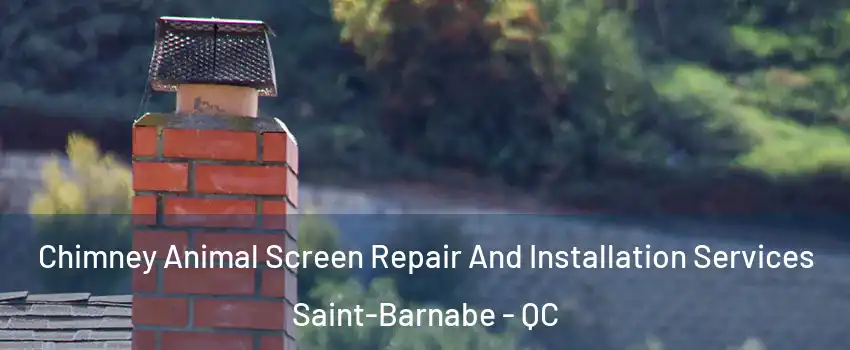  Chimney Animal Screen Repair And Installation Services Saint-Barnabe - QC