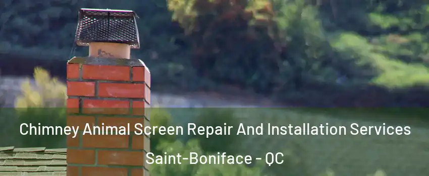  Chimney Animal Screen Repair And Installation Services Saint-Boniface - QC