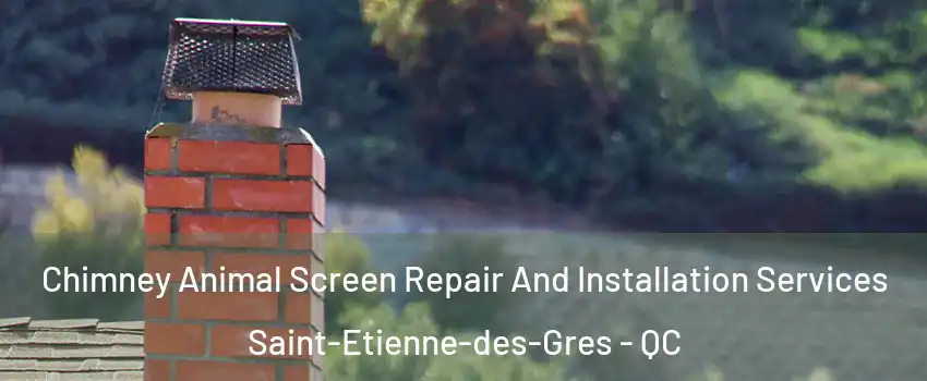  Chimney Animal Screen Repair And Installation Services Saint-Etienne-des-Gres - QC
