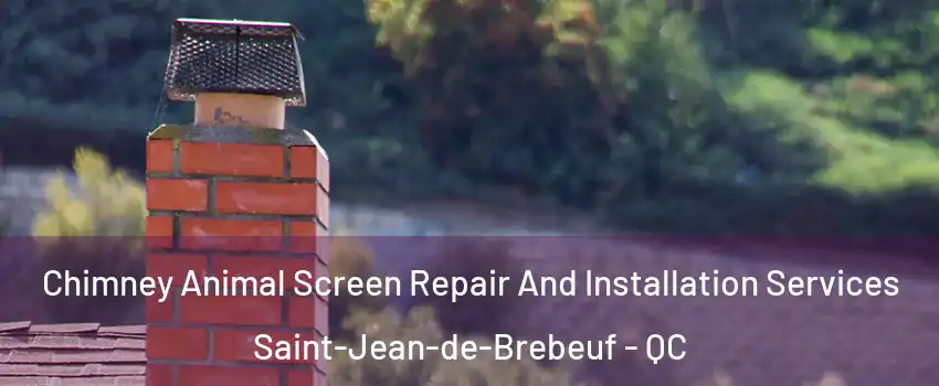  Chimney Animal Screen Repair And Installation Services Saint-Jean-de-Brebeuf - QC