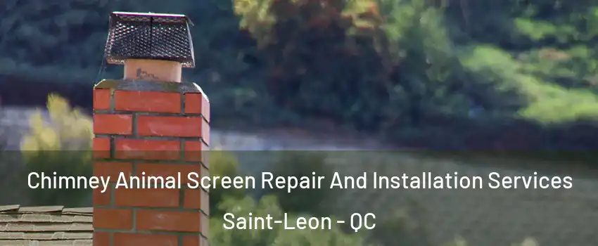  Chimney Animal Screen Repair And Installation Services Saint-Leon - QC