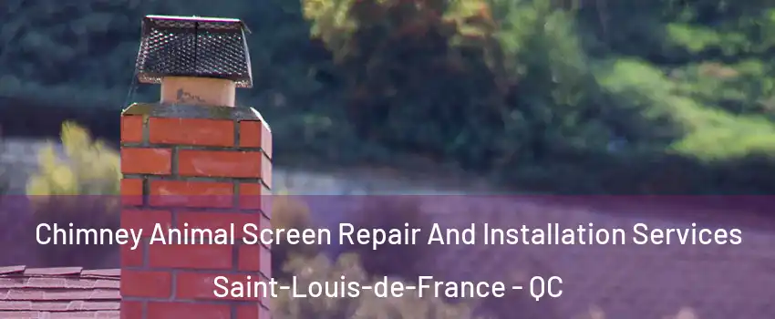  Chimney Animal Screen Repair And Installation Services Saint-Louis-de-France - QC
