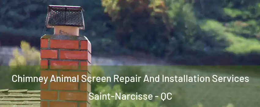  Chimney Animal Screen Repair And Installation Services Saint-Narcisse - QC