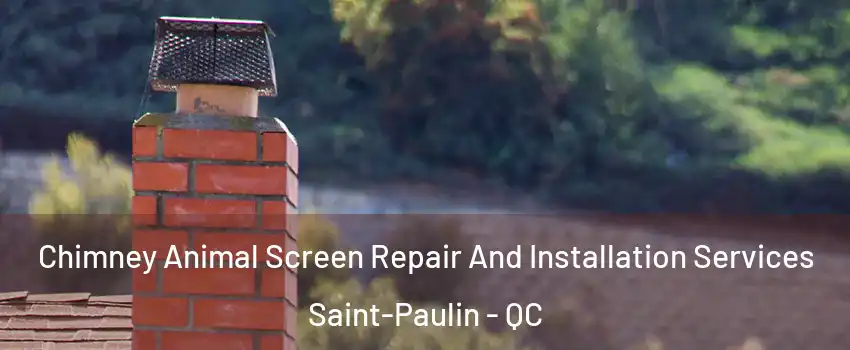  Chimney Animal Screen Repair And Installation Services Saint-Paulin - QC