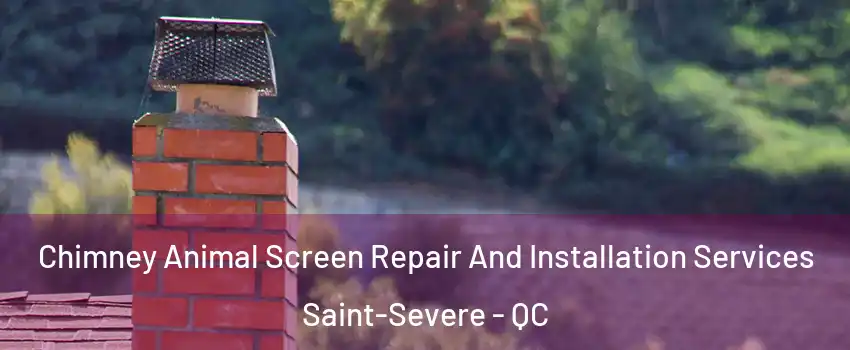  Chimney Animal Screen Repair And Installation Services Saint-Severe - QC