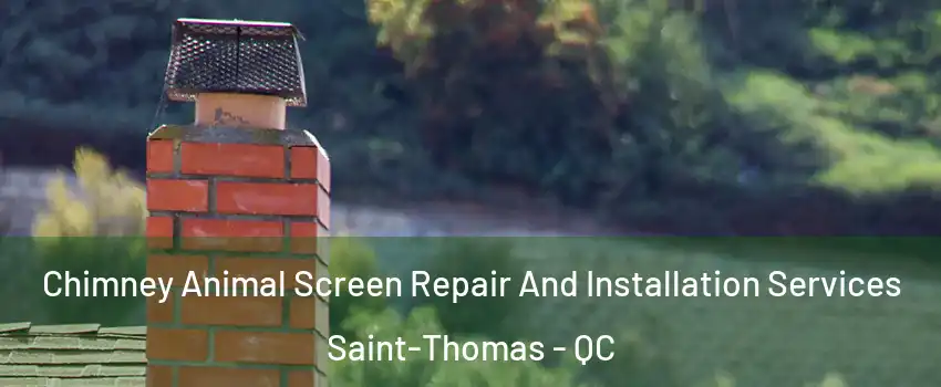  Chimney Animal Screen Repair And Installation Services Saint-Thomas - QC