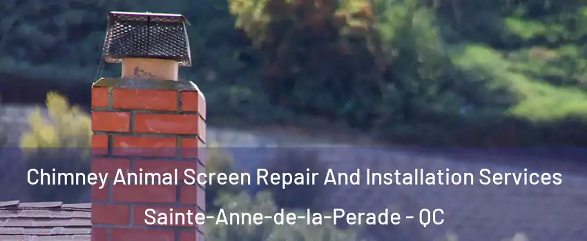  Chimney Animal Screen Repair And Installation Services Sainte-Anne-de-la-Perade - QC