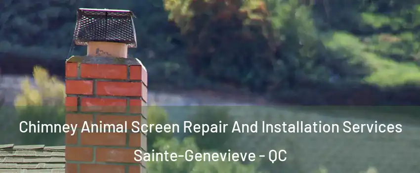  Chimney Animal Screen Repair And Installation Services Sainte-Genevieve - QC