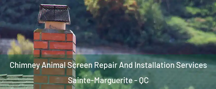  Chimney Animal Screen Repair And Installation Services Sainte-Marguerite - QC