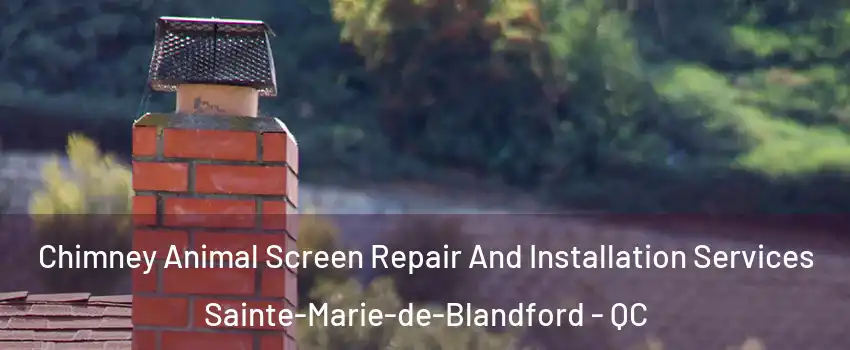  Chimney Animal Screen Repair And Installation Services Sainte-Marie-de-Blandford - QC