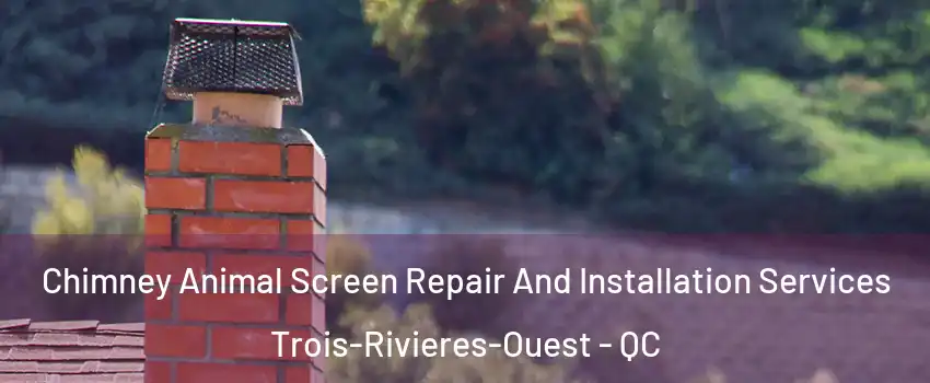  Chimney Animal Screen Repair And Installation Services Trois-Rivieres-Ouest - QC