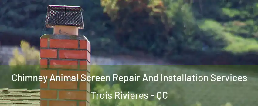  Chimney Animal Screen Repair And Installation Services Trois Rivieres - QC