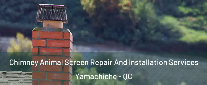  Chimney Animal Screen Repair And Installation Services Yamachiche - QC