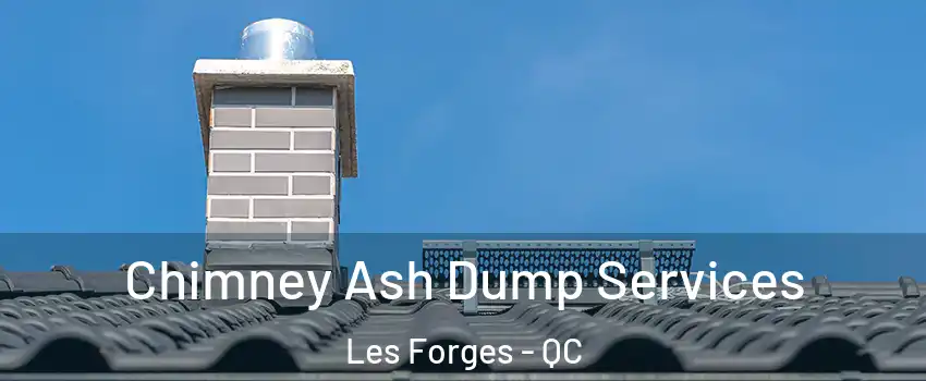  Chimney Ash Dump Services Les Forges - QC