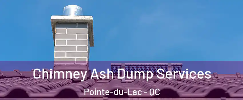  Chimney Ash Dump Services Pointe-du-Lac - QC