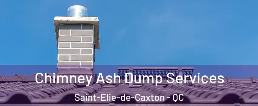  Chimney Ash Dump Services Saint-Elie-de-Caxton - QC