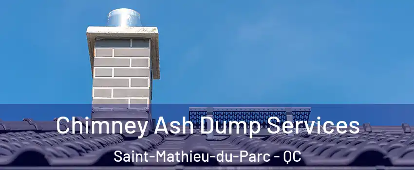  Chimney Ash Dump Services Saint-Mathieu-du-Parc - QC