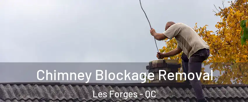  Chimney Blockage Removal Les Forges - QC