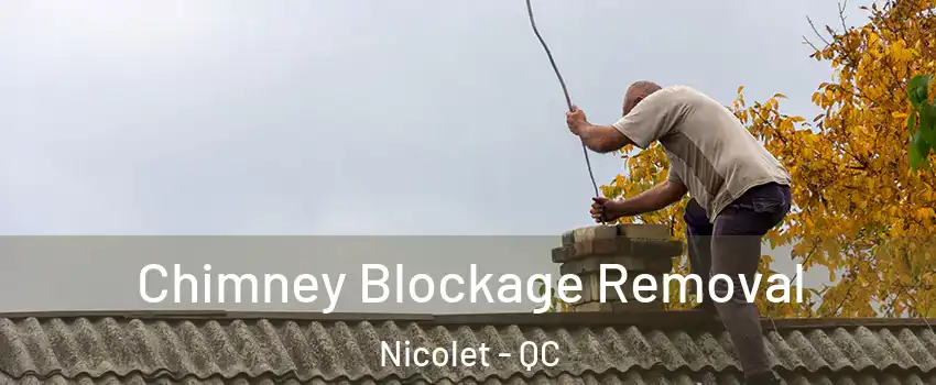  Chimney Blockage Removal Nicolet - QC