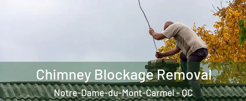  Chimney Blockage Removal Notre-Dame-du-Mont-Carmel - QC