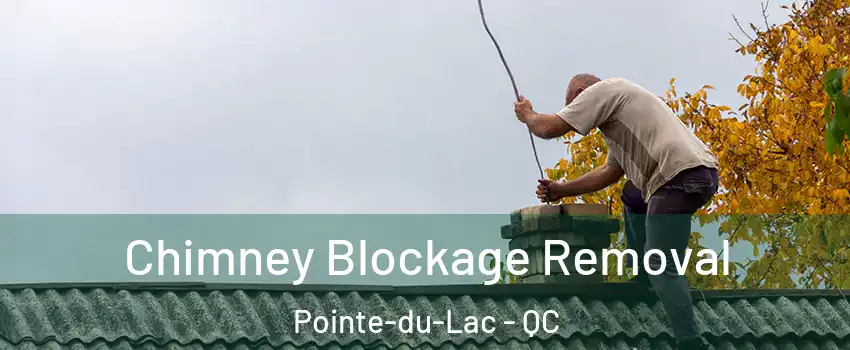  Chimney Blockage Removal Pointe-du-Lac - QC