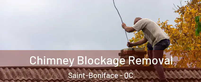  Chimney Blockage Removal Saint-Boniface - QC