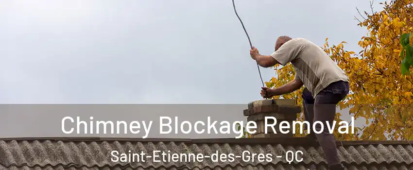 Chimney Blockage Removal Saint-Etienne-des-Gres - QC