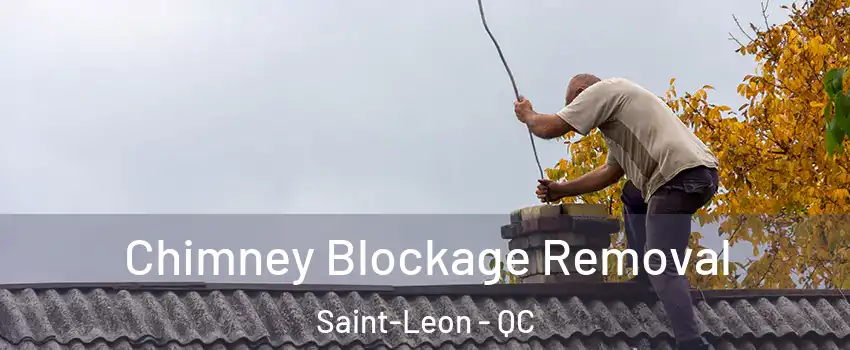  Chimney Blockage Removal Saint-Leon - QC