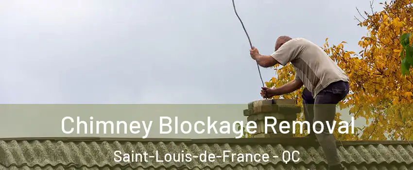  Chimney Blockage Removal Saint-Louis-de-France - QC