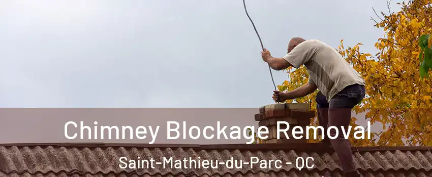  Chimney Blockage Removal Saint-Mathieu-du-Parc - QC