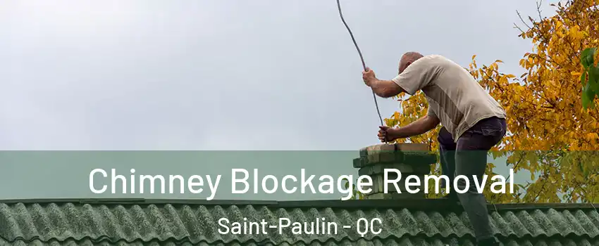  Chimney Blockage Removal Saint-Paulin - QC